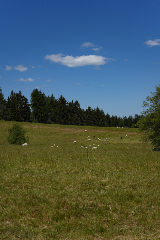 Route 9 Schönberg